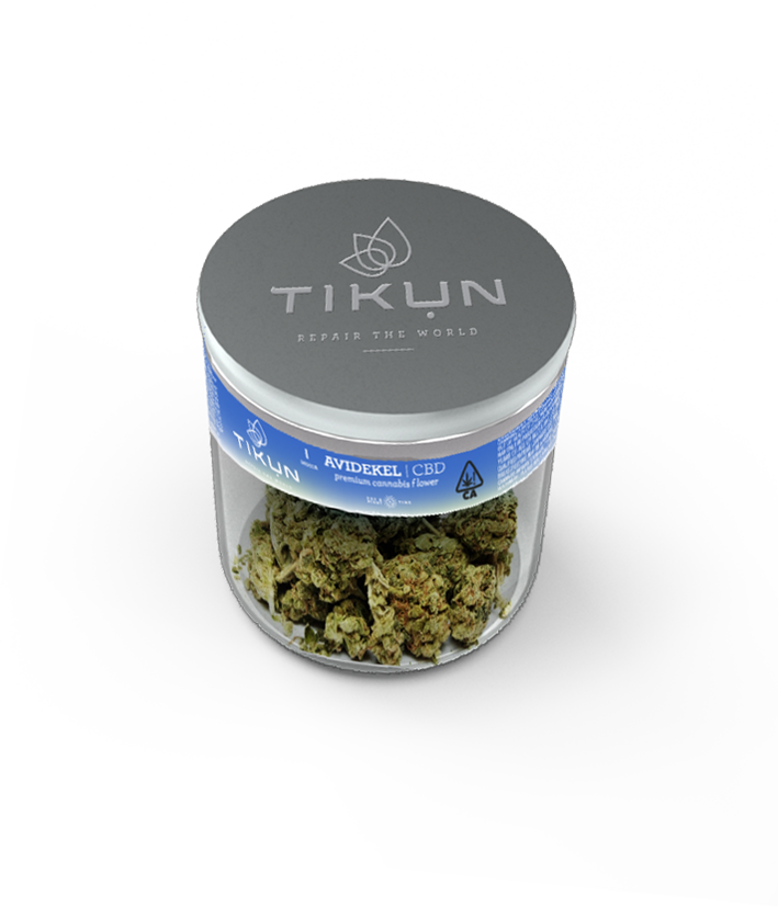 Tikun Repair The World
